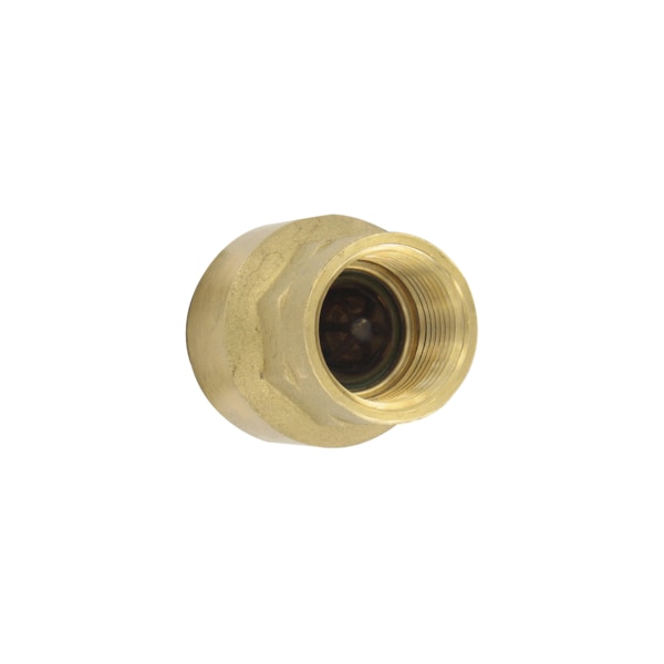 Brass inline check valve, 1/4" connection, 4.55 Cv value, weight 3.5 oz (100 g).
